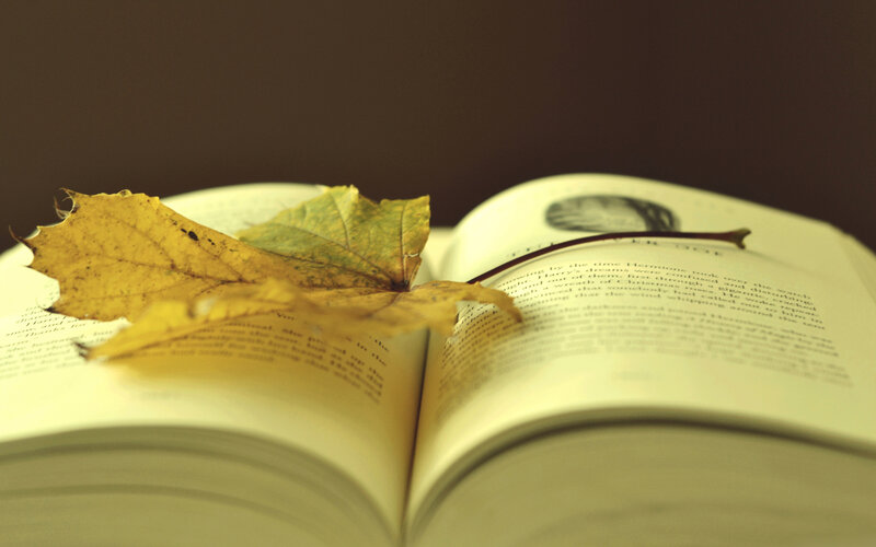 Open Book with Autumn Leaf — Yellow, Calm