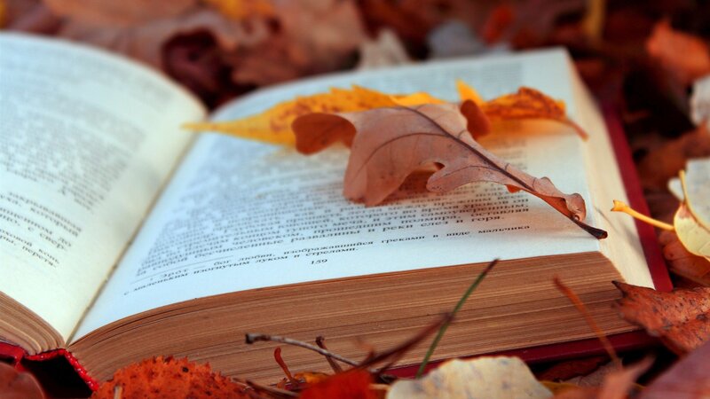 Open Book with Autumn Leaves — Brown, Calm