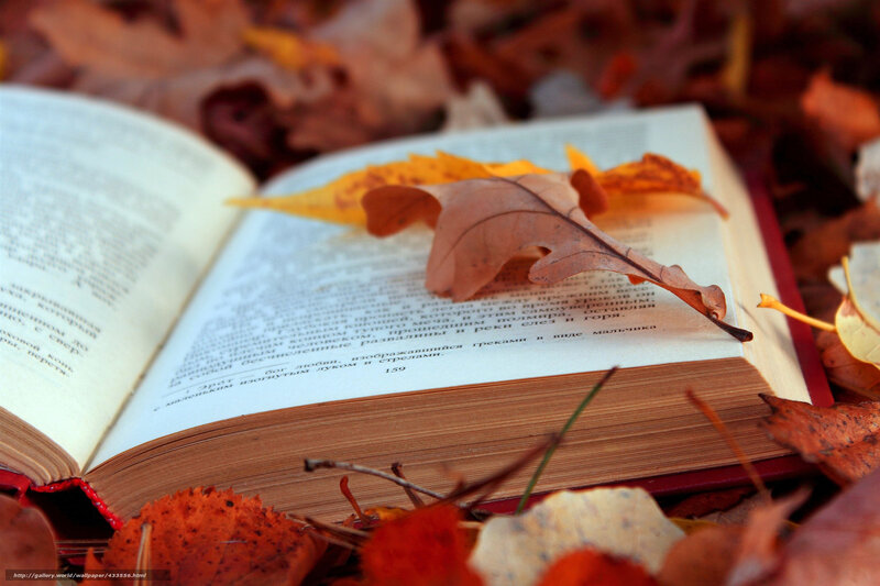 Open Book with Autumn Leaves — Brown, Serene