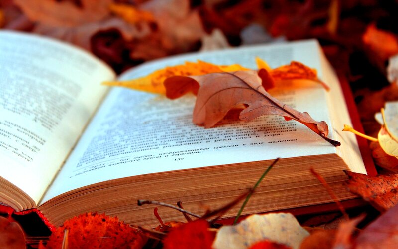 Open Book with Autumn Leaves — Brown