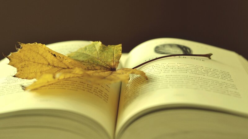 Open Book with Autumn Leaves — Yellow