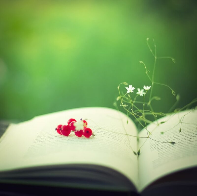 Open Book with Berries