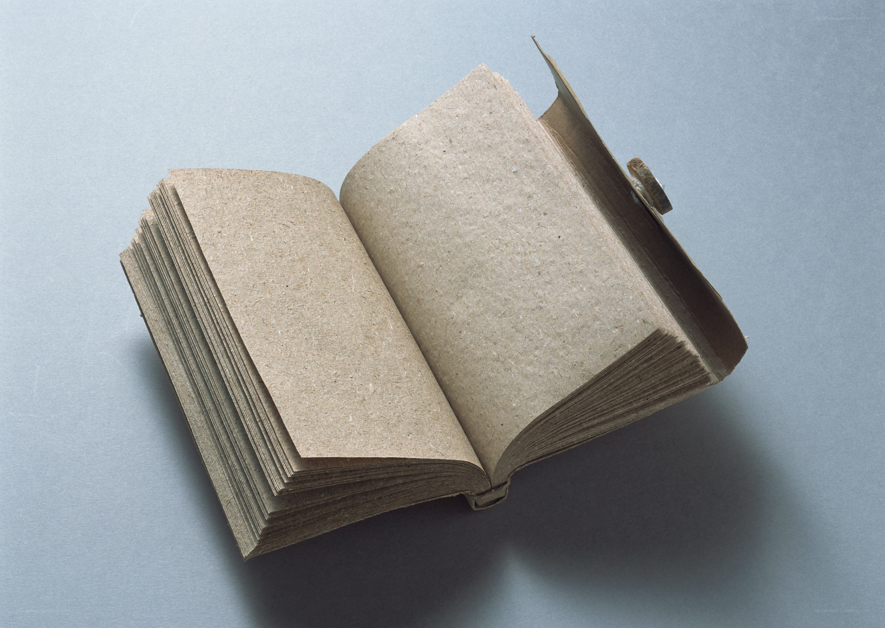 open book with blank pages