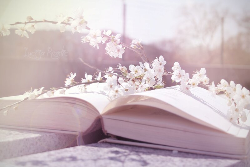 Open Book with Blossoms