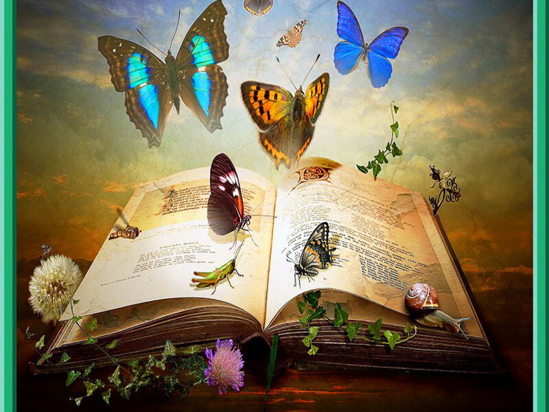 Open Book with Butterflies — Blue, Magical