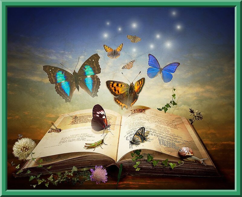 Open Book with Butterflies — Blue