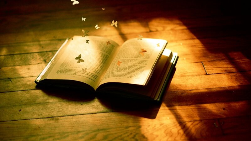 Open Book with Butterflies — Brown, Serene