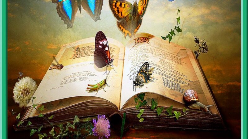 Open Book with Butterflies — Brown