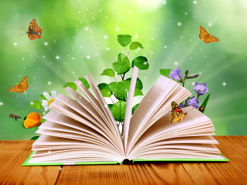 Open Book with Butterflies — Green