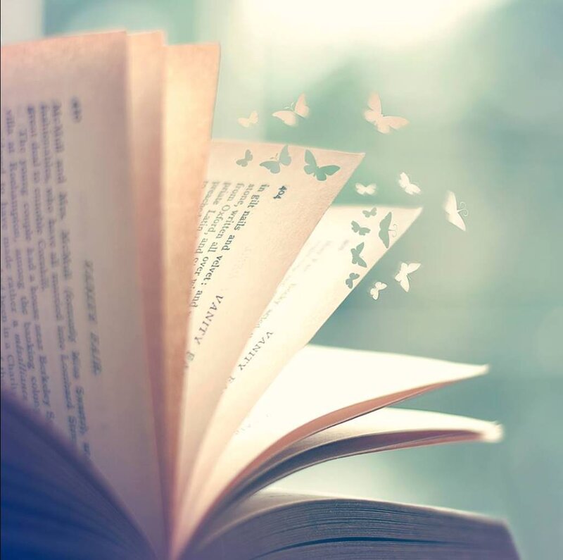 Open Book with Butterflies — White
