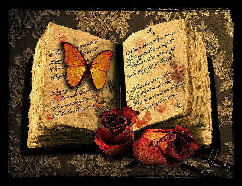 Open Book with Butterfly