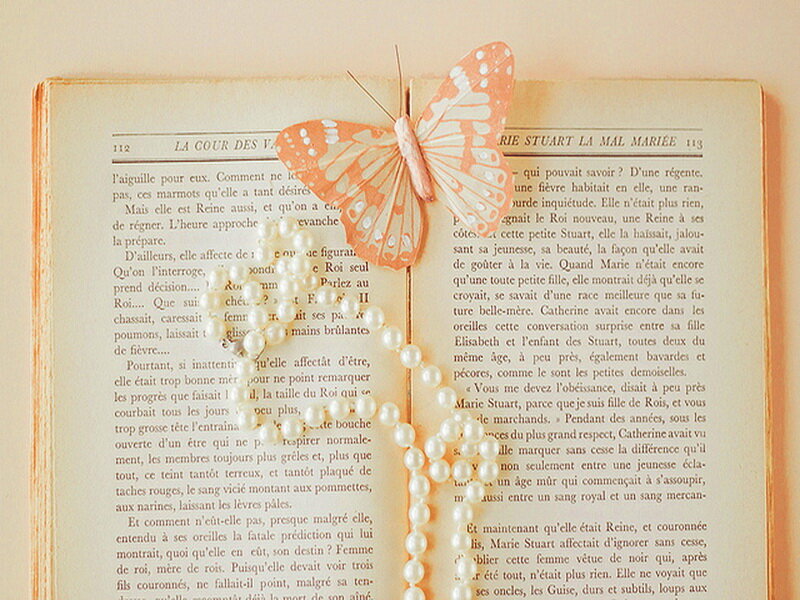 Open Book with Butterfly — White