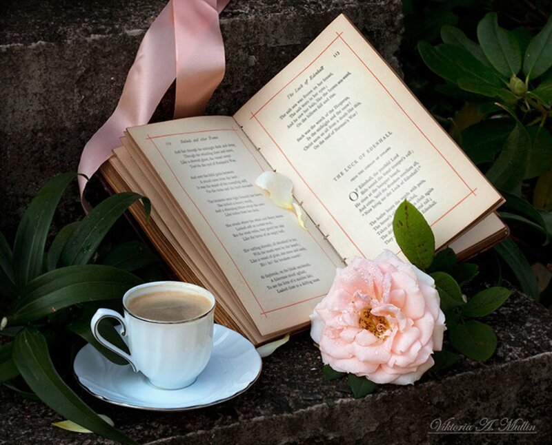 Open Book with Coffee Cup — White, Serene