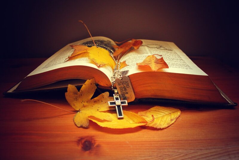 Open Book with Cross — Brown