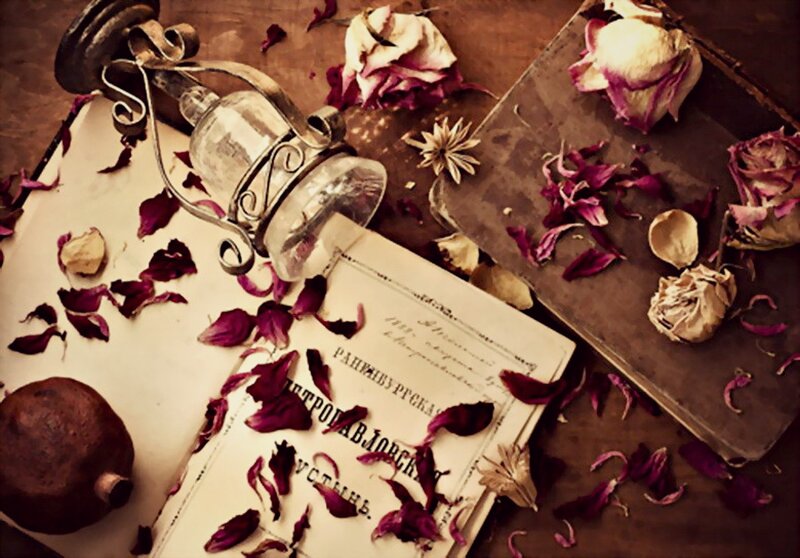 Open Book with Dried Flowers — Brown