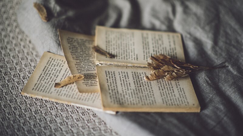 Open Book with Dried Flowers — Gray