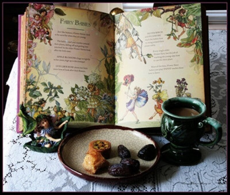 Open Book with Fairy Illustrations