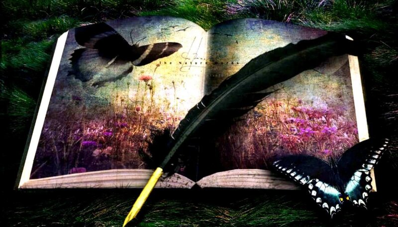 Open Book with Feather — Green, Mystical