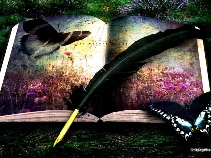 Open Book with Feather — Green, Serene