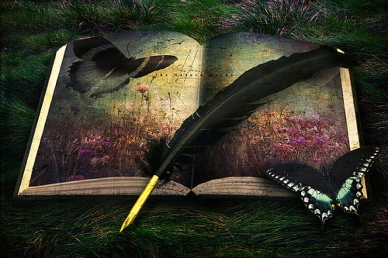 Open Book with Feather Quill — Green