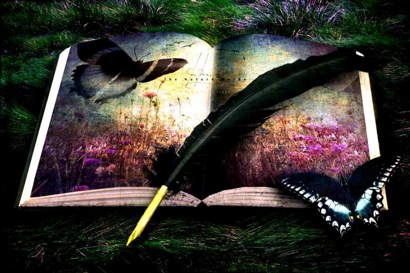 Open Book with Feather