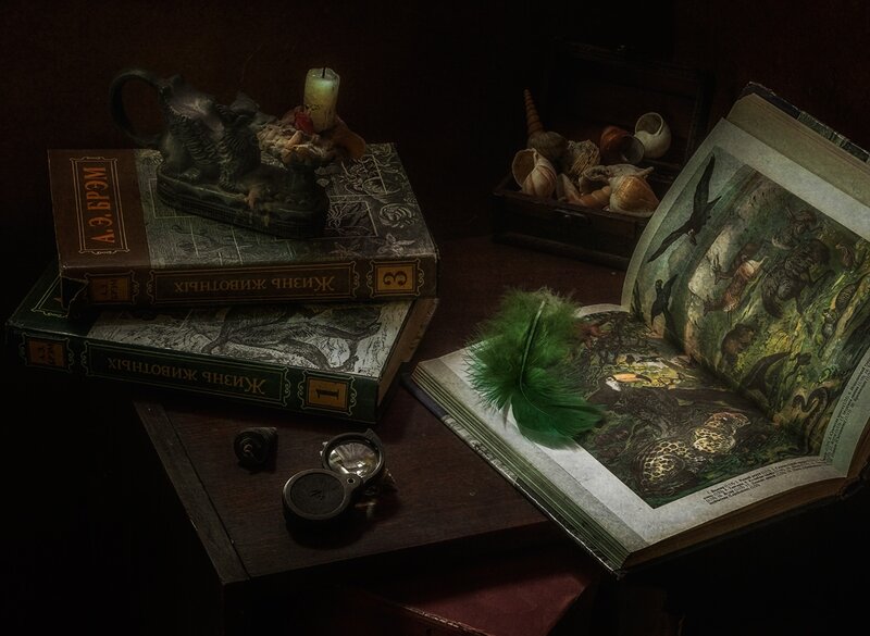 Open Book with Feathers — Brown
