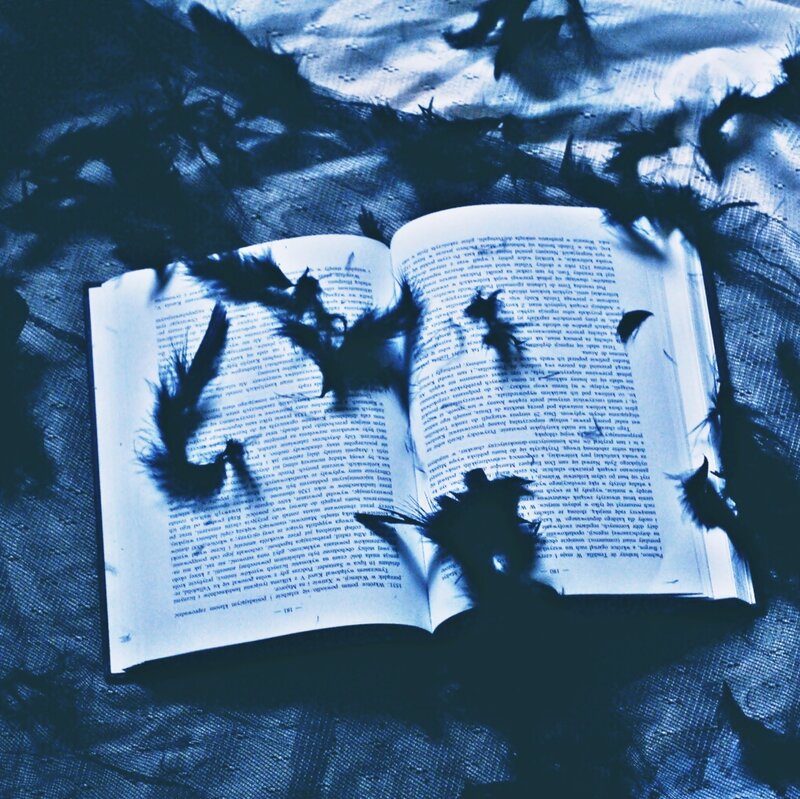 Open Book with Feathers