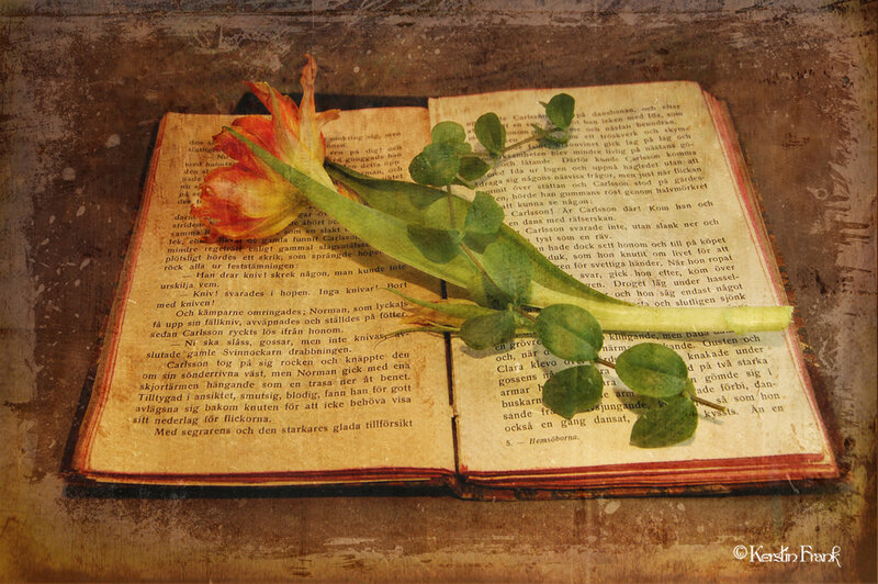 Open Book with Flower — Brown