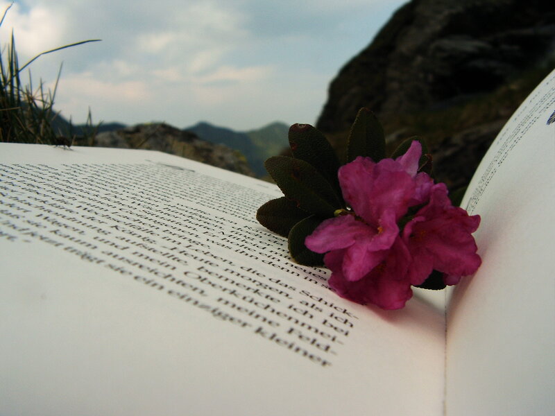 Open Book with Flower — White