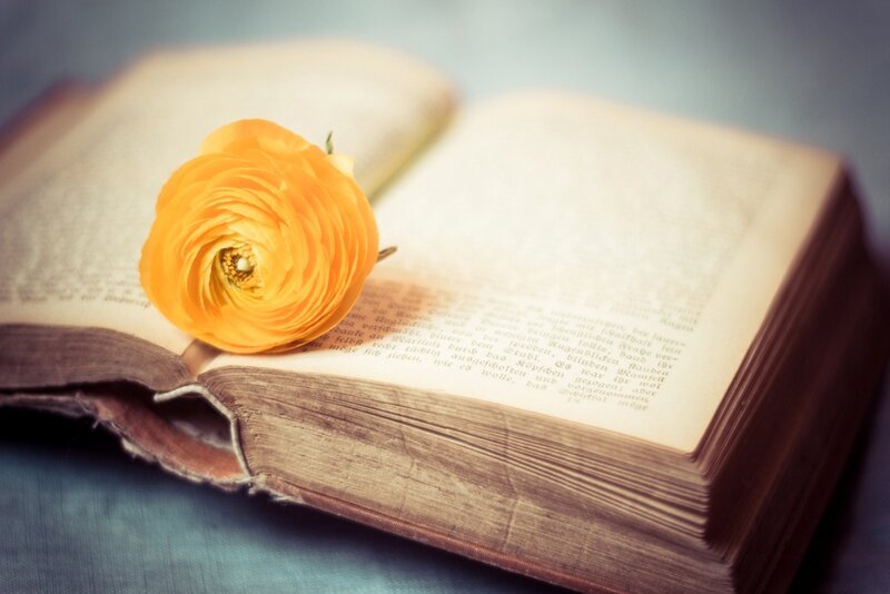 Open Book with Flower — Yellow, Serene