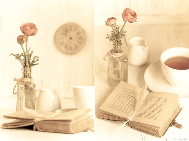 Open Book with Flowers — Beige