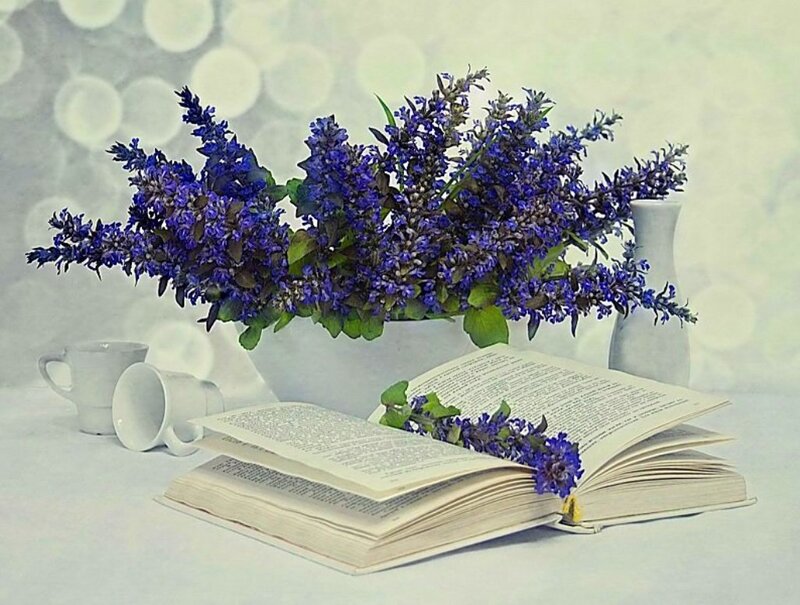 Open Book with Flowers — Blue, Serene, Photograph