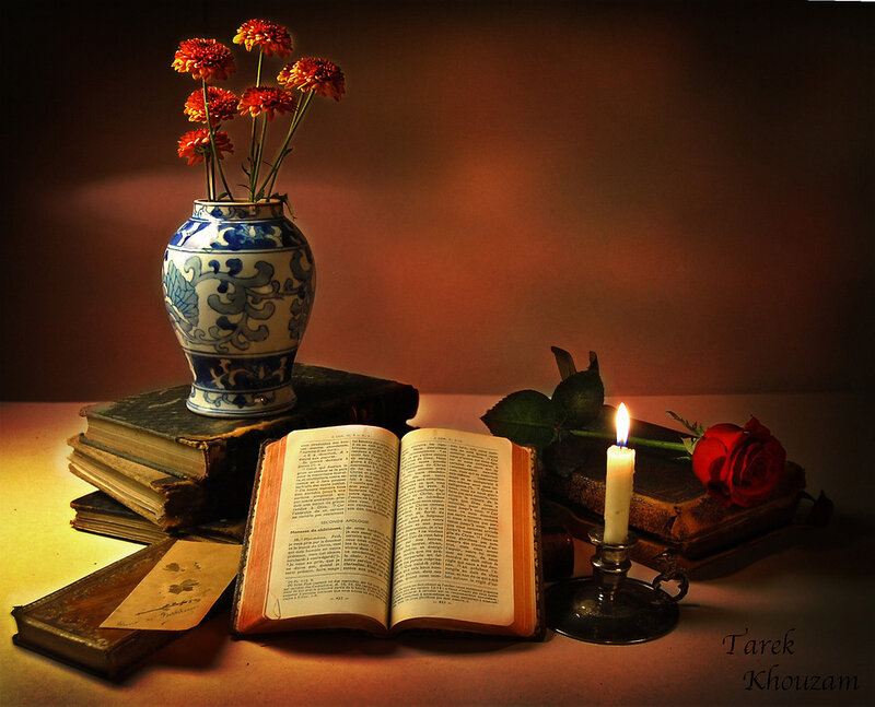 Open Book with Flowers — Brown, Dramatic