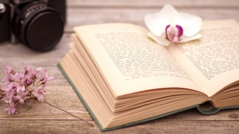 Open Book with Flowers — Brown, Serene, Photograph, Camera