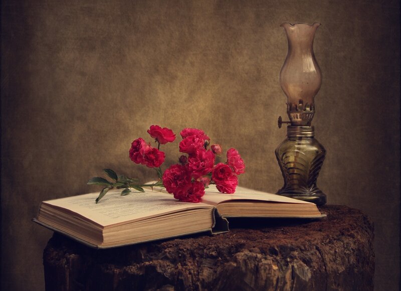 Open Book with Flowers — Brown, Serene, Photograph, Oil Lamp