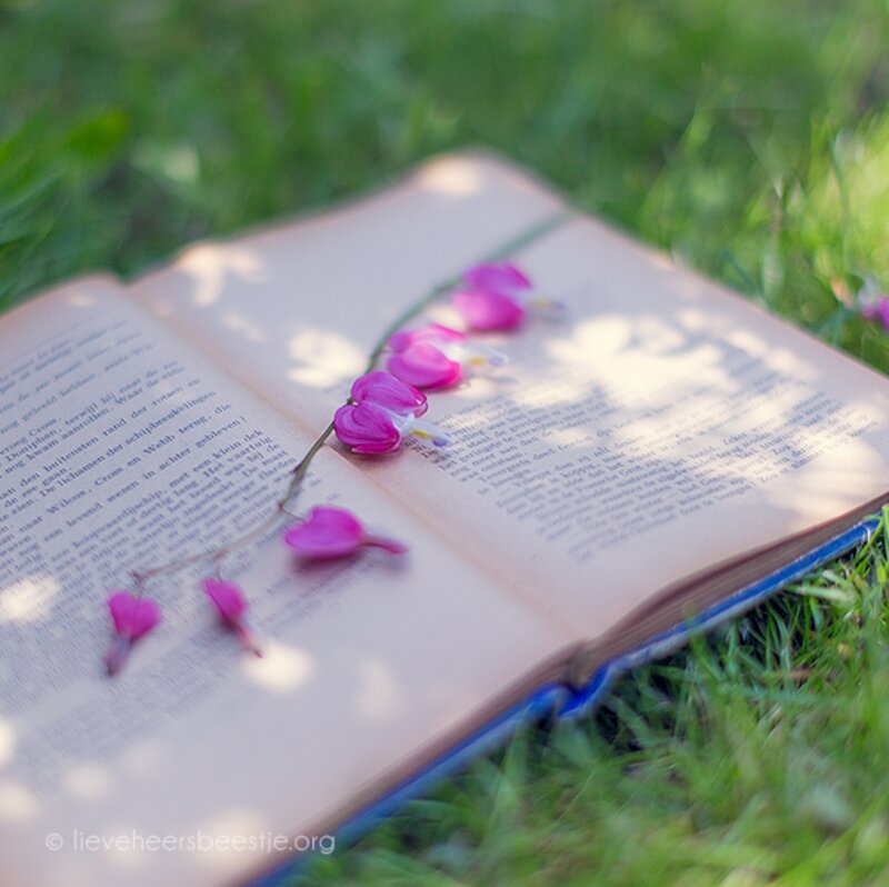 Open Book with Flowers — Green, Serene