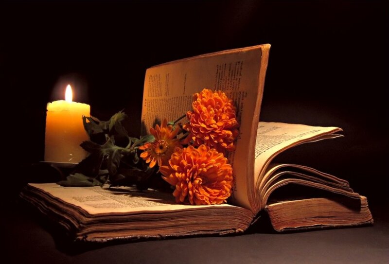 Open Book with Flowers — Orange, Dramatic