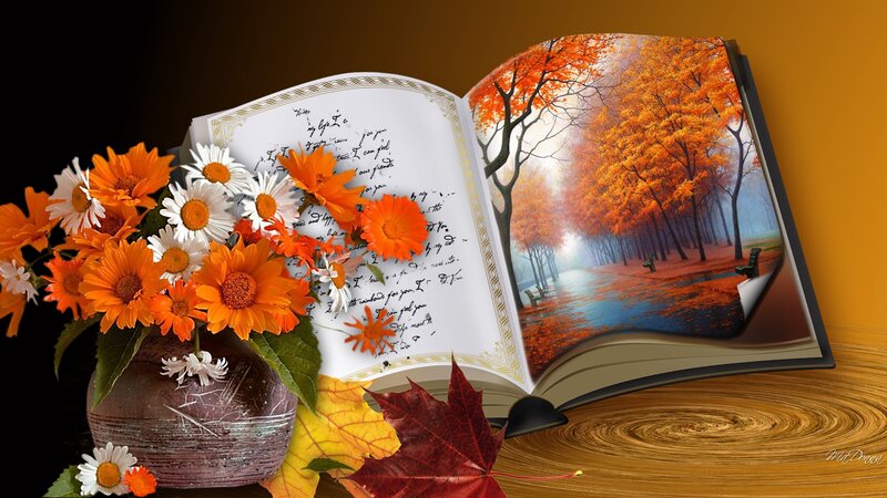 Open Book with Flowers — Orange, Serene