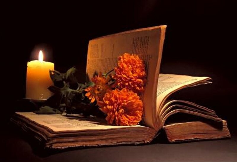 Open Book with Flowers — Orange