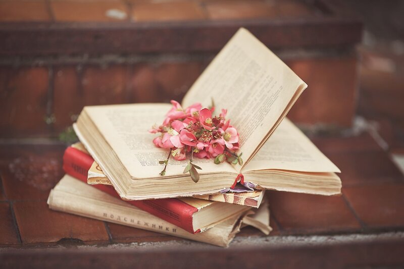Open Book with Flowers — Pink, Serene, Photograph