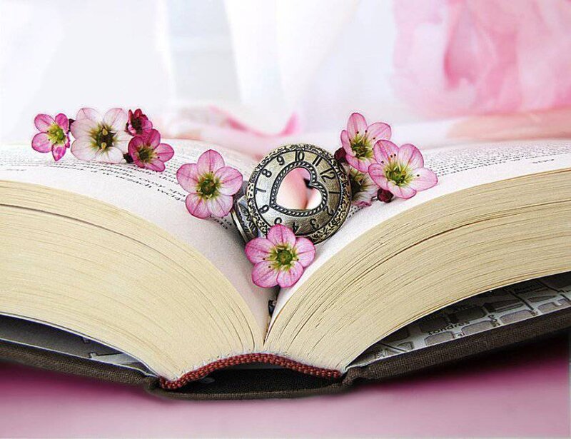 Open Book with Flowers — Pink