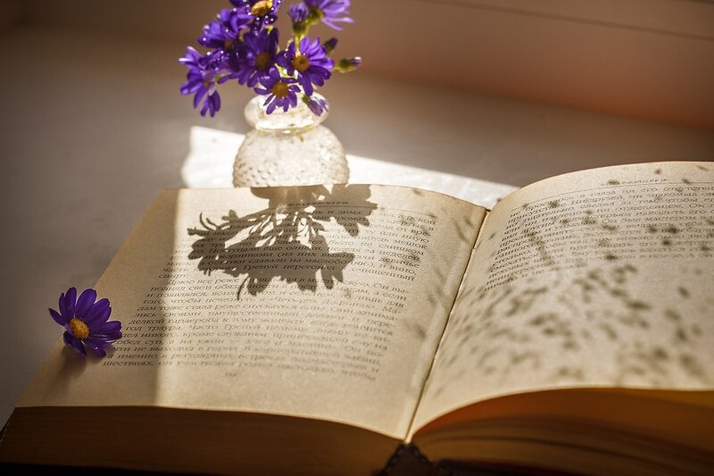 Open Book with Flowers — Purple, Serene, Morning, Photograph