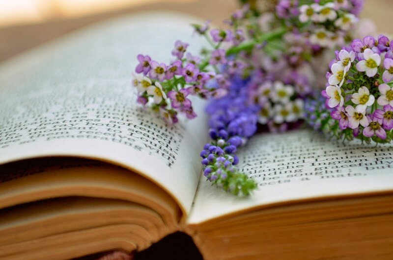 Open Book with Flowers — Purple, Serene, Morning