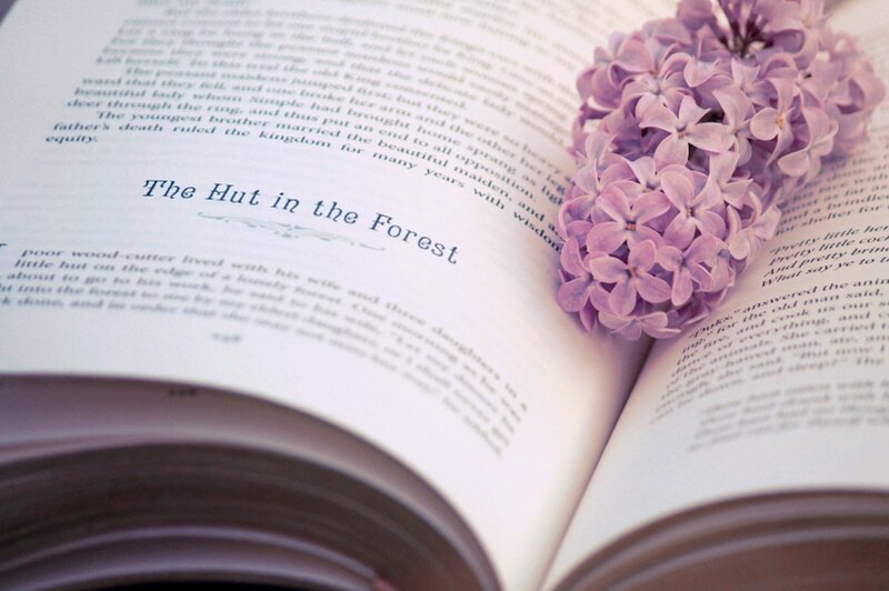 Open Book with Flowers — Purple, Serene, Photograph