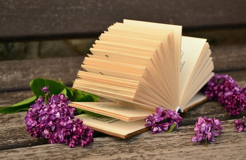 Open Book with Flowers — Purple, Serene, Spring, Photograph