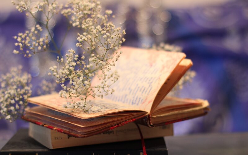 Open Book with Flowers — Purple, Serene