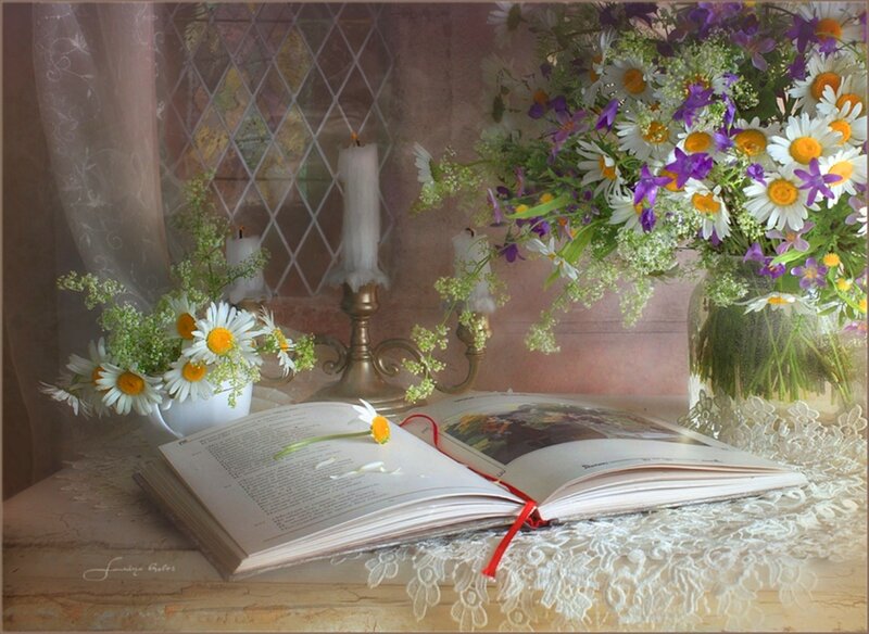 Open Book with Flowers — White, Serene, Afternoon