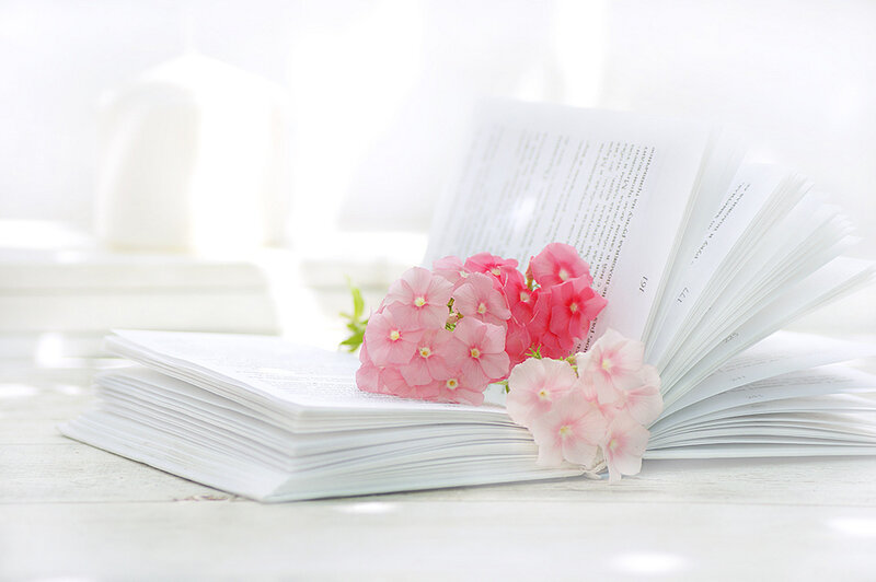 Open Book with Flowers — White, Serene, Morning