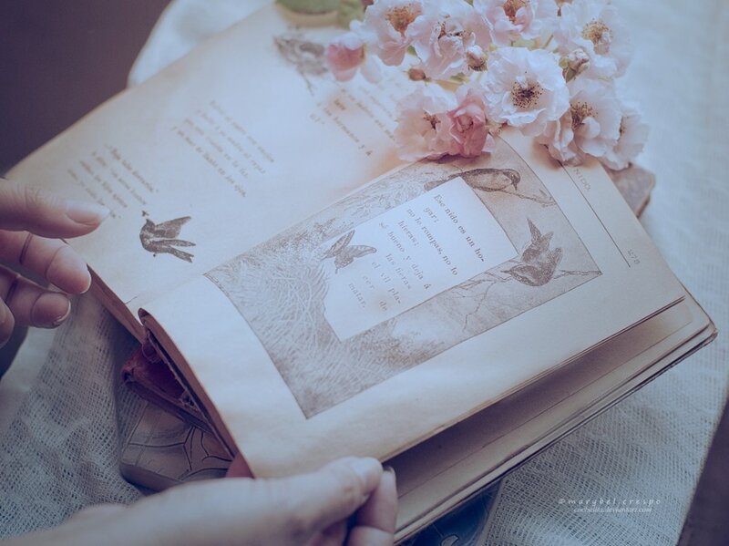Open Book with Flowers — White, Serene, Photograph, Hands