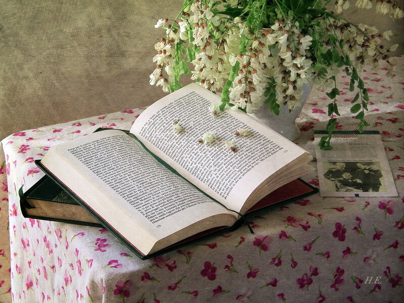 Open Book with Flowers — White, Serene, Spring, Photograph